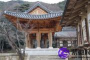 什么是天德日 2017年哪天是天德日