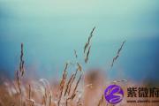 戊戌日与壬辰日配吗 戊戌日柱与壬辰日柱是否适合