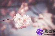 戊戌日生于午时 戊戌日午时生命运好吗