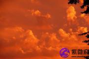 壬辰日与辛卯日配吗 壬辰日柱与辛卯日柱是否适合