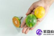 癸亥日与庚寅日配吗 癸亥日柱与庚寅日柱是否适合