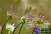 辛丑日与壬午日配吗 辛丑日柱与壬午日柱是否适合
