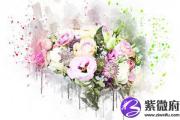 白蜡金和白蜡金配吗 白蜡金和白蜡金婚姻如何？