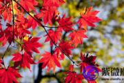 八字看出一个人的相貌 漂亮女人的八字是怎么样
