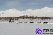 己巳日与癸巳日配吗 己巳日柱与癸巳日柱是否适合