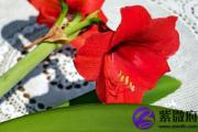 涧下水是哪年生人 涧下水是什么生肖