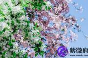 八字桃花的查法 命带桃花的特点