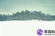 壬子日与甲戌日配吗 壬子日柱与甲戌日柱是否适合