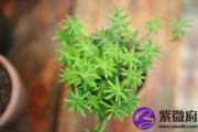 癸酉日生于丑时 癸酉日丑时生命运好吗