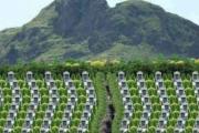 墓地风水与骨灰盒摆放知识
