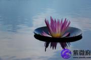 壬戌日与丙子日配吗 壬戌日柱与丙子日柱是否适合