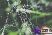 金箔金适合什么颜色 什么颜色旺金箔金命