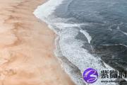 庚申日的五行属性 庚申日柱是什么五行