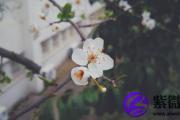 辛亥日是哪一天 辛亥日怎么算