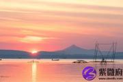 大林木缺火 大林木命五行缺火怎么办