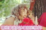 哪些家居风水最招烂桃花