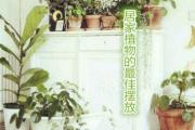 居家植物的最佳摆放