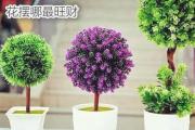 花摆哪最旺财