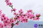紫微斗数告诉你哪些明星爱走光