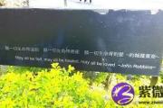 紫微斗数：人生转折点，化禄与化忌