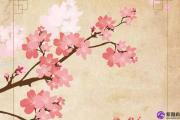紫微斗数：容易遇到烂桃花的命格