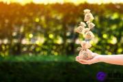 紫微斗数：你是先天暴富命？发财特质全揭晓