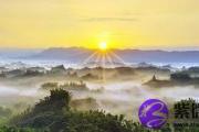 2019己亥猪年阴历十二月丁丑月运势推算