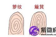 指纹算命，根据指纹样式测算缘主的运势