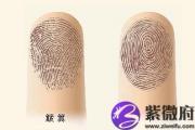 根据指纹，为你算命，解密手指头下的人生秘密