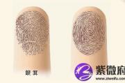两位缘主，提供指纹样式，算一下他们的命理运势