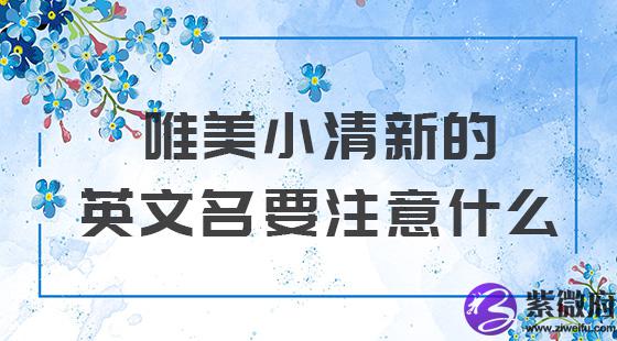 唯美小清新的英文名要注意什么