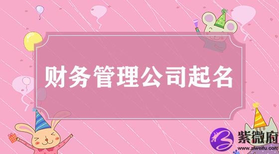 财务管理公司起名