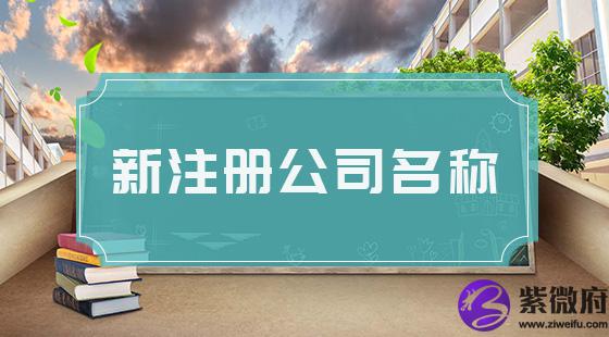 新注册公司名称