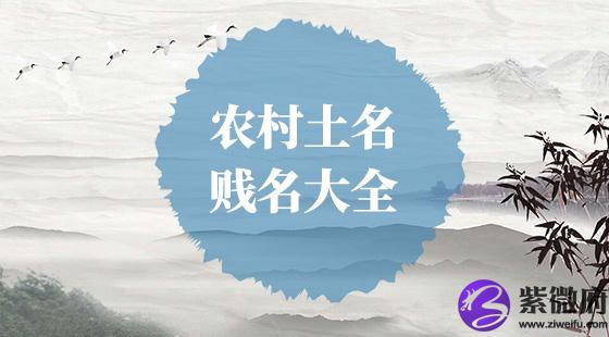 农村土名贱名大全