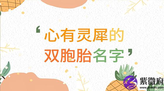 心有灵犀的双胞胎名字