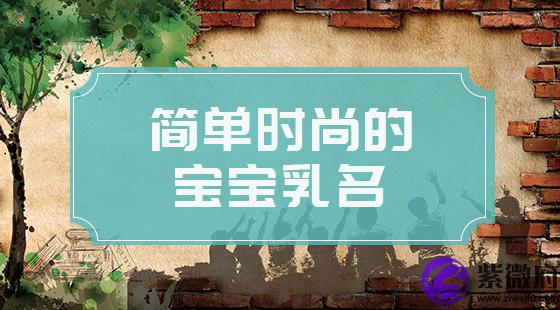简单时尚的宝宝小名