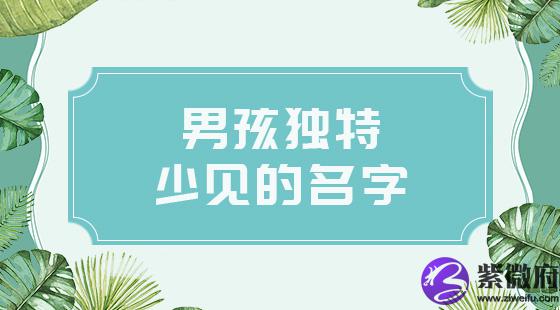 男孩独特少见的名字