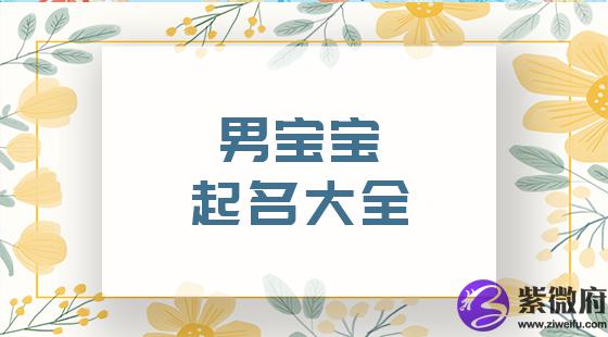男宝宝起名字大全