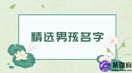 精选男孩名字