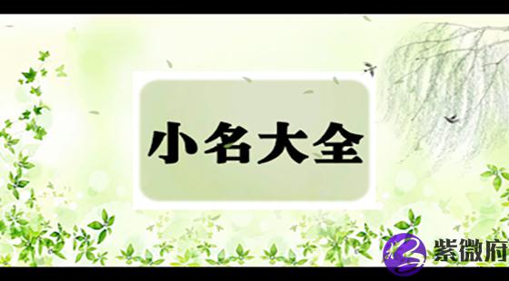 小名大全