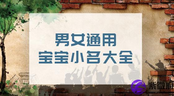 男女通用宝宝小名大全