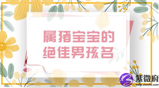 属猪宝宝的绝佳男孩名