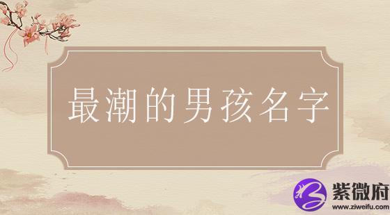最潮的男孩名字