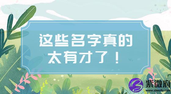 这些名字真的太有才了!