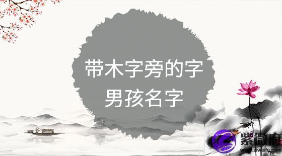 带木字旁的字男孩名字