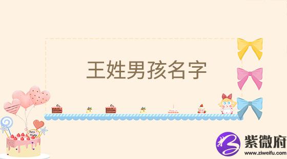 王姓男孩名字