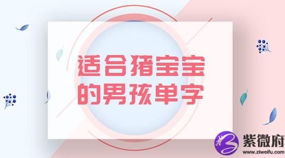 适合猪宝的男孩单字