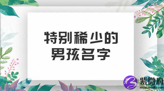 特别稀少男孩名字