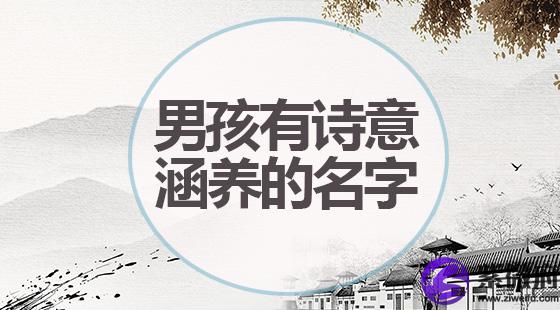 男孩诗意涵养的名字