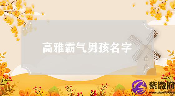 高雅霸气男孩名字
